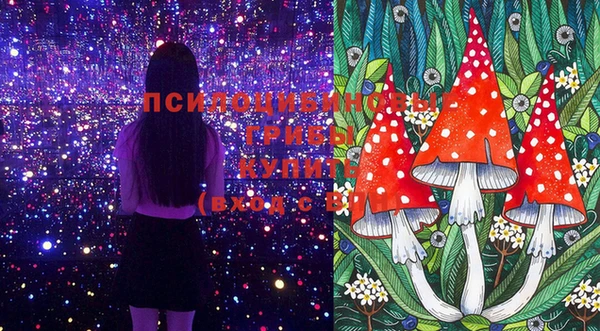 Альфа ПВП Майский