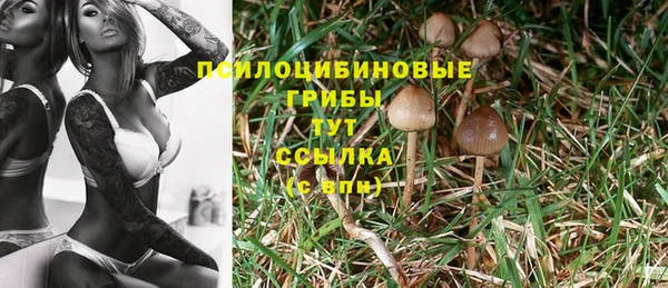 гашишное масло Медвежьегорск