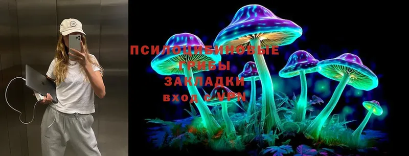 купить наркотик  Мензелинск  Галлюциногенные грибы Psilocybine cubensis 